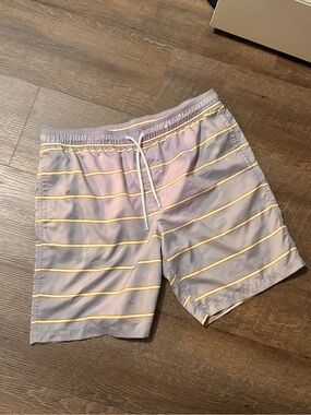 Amazon Essentials Gray Swim Trunks with Yellow Stripes